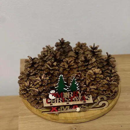 Tilia Apartment Craiova